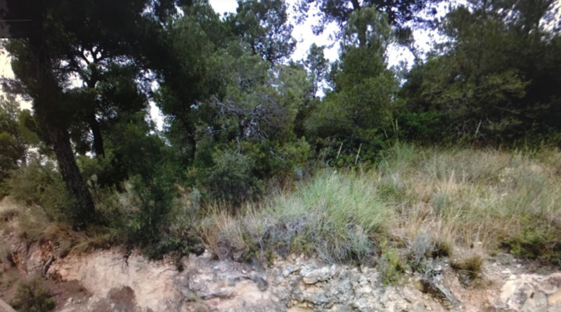 Valencia - Villamarchante - 1029m2
