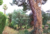 Sòl urbà en venda a la España, Santa Cristina d'Aro, ref.: TR250110 foto