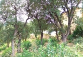 Sòl urbà en venda a la España, Santa Cristina d'Aro, ref.: TR250110 foto