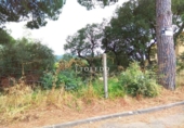 Sòl urbà en venda a la España, Santa Cristina d'Aro, ref.: TR250110 foto