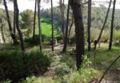 Urban land for sale on España, Santpedor, ref: TR113967 photo