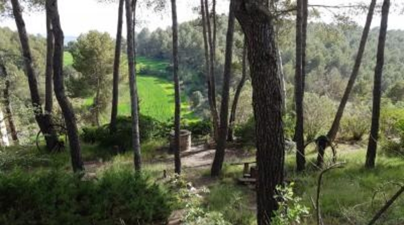 Barcelona - Santpedor - 798m2