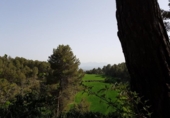 Urban land for sale on España, Santpedor, ref: TR113967 photo