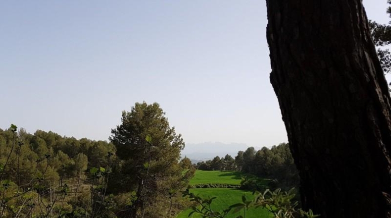 Barcelona - Santpedor - 798m2