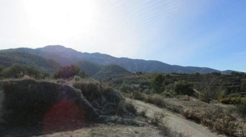 València - Ráfol de Salem - 13262m2