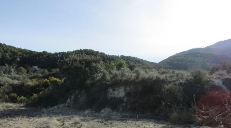 València - Ráfol de Salem - 13262m2