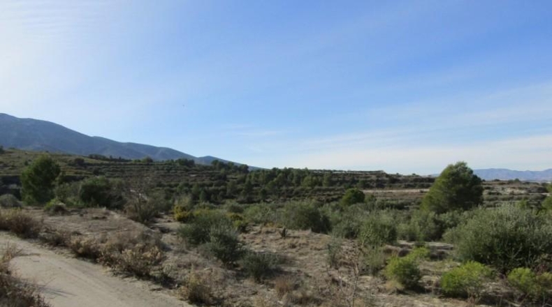 València - Ráfol de Salem - 13262m2