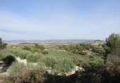 Terreny no urbanitzable en venda a la España, el Ràfol de Salem, ref.: TR114798 foto
