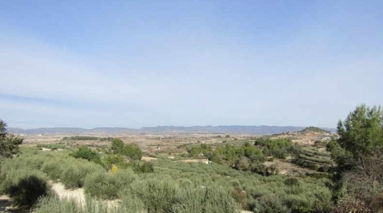 València - Ráfol de Salem - 13262m2