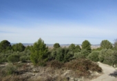 Terreny no urbanitzable en venda a la España, el Ràfol de Salem, ref.: TR114798 foto