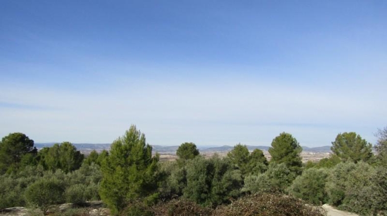 València - Ráfol de Salem - 13262m2
