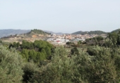 Terreny no urbanitzable en venda a la España, el Ràfol de Salem, ref.: TR114798 foto