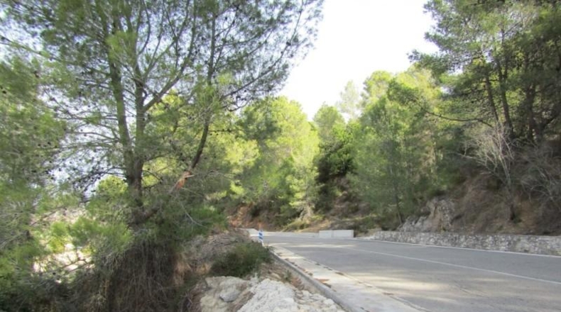 València - Ráfol de Salem - 13262m2