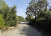 Terreny no urbanitzable en venda a la España, el Ràfol de Salem, ref.: TR114798 foto