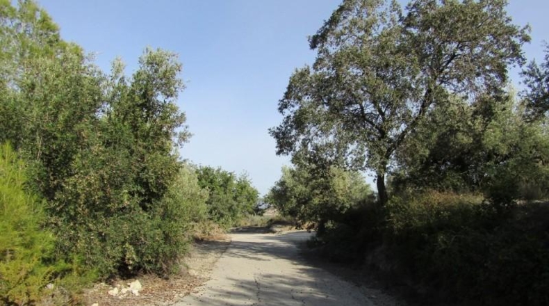 València - Ráfol de Salem - 13262m2