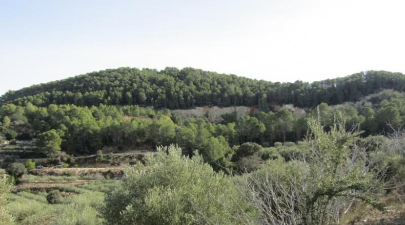 València - Ráfol de Salem - 13262m2