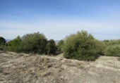 Terreny no urbanitzable en venda a la España, el Ràfol de Salem, ref.: TR114798 foto