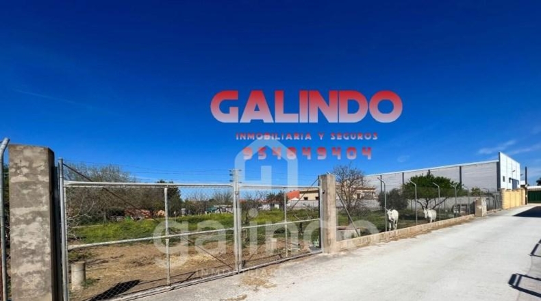 Sevilla - Paradas - 700m2