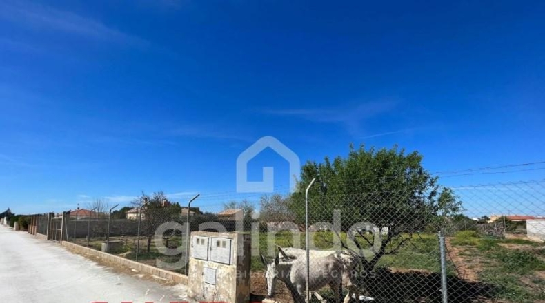 Sevilla - Paradas - 700m2
