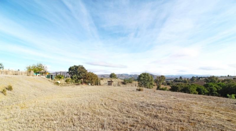 Malaga - Cártama - 2513m2