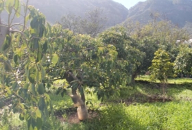 Valsequillo 1691&nbsp;m² 