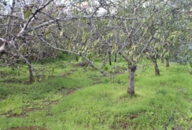 Valsequillo 1691&nbsp;m² 