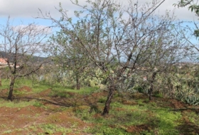 Valsequillo 1691&nbsp;m² 