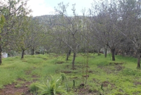 Valsequillo 1691&nbsp;m² 