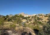 Non-developable land for sale on España, La Nucia, ref: TR340352 photo