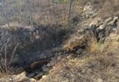 Non-developable land for sale on España, La Nucia, ref: TR340352 photo