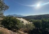 Non-developable land for sale on España, La Nucia, ref: TR340352 photo