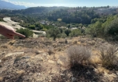 Non-developable land for sale on España, La Nucia, ref: TR340352 photo