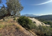 Non-developable land for sale on España, La Nucia, ref: TR340352 photo