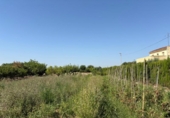 Suelo urbano en venta en la España, Murcia, ref: TR314631 foto