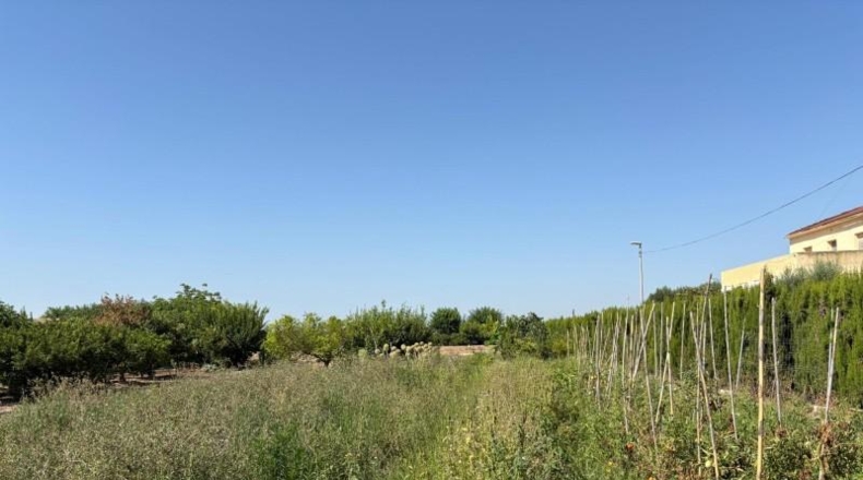 Córdoba - El Esparragal - 1200m2