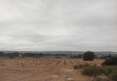 Terreny no urbanitzable en venda a la España, Almansa, ref.: TR128499 foto