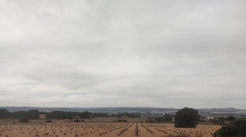 Albacete - Almansa - 26000m2