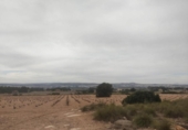 Terreny no urbanitzable en venda a la España, Almansa, ref.: TR128499 foto