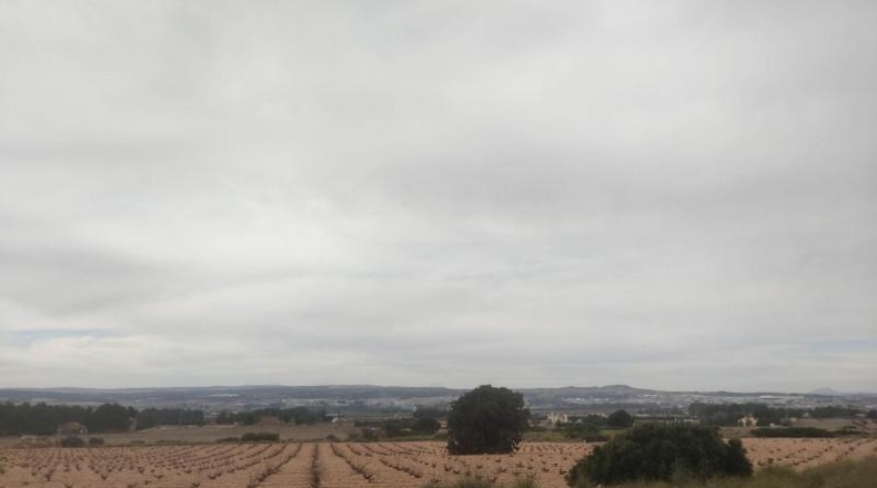 Albacete - Almansa - 26000m2