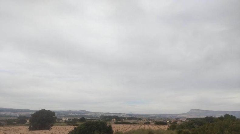 Albacete - Almansa - 26000m2