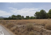 Non-developable land for sale on España, Sax, ref: TR158454 photo