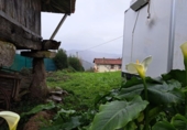 Parcela urbanizable en venta en la España, Colunga, ref: TR173358 foto