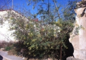 Casa con terreno en venta en la España, Murcia, ref: TR308580 foto