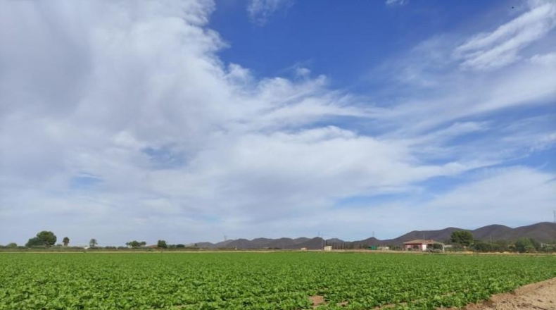 Murcia - Lorca - 5597m2