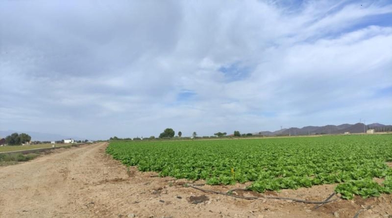 Murcia - Lorca - 5597m2