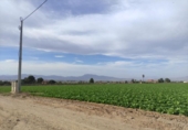 Non-developable land for sale on España, Lorca, ref: TR172481 photo
