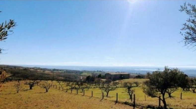 Ávila - Candeleda - 6829m2