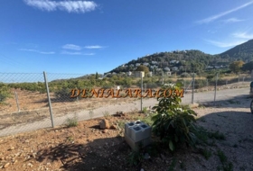 Pego 2125&nbsp;m² 