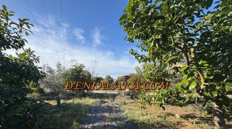 Alicante - Пего - 2125m2