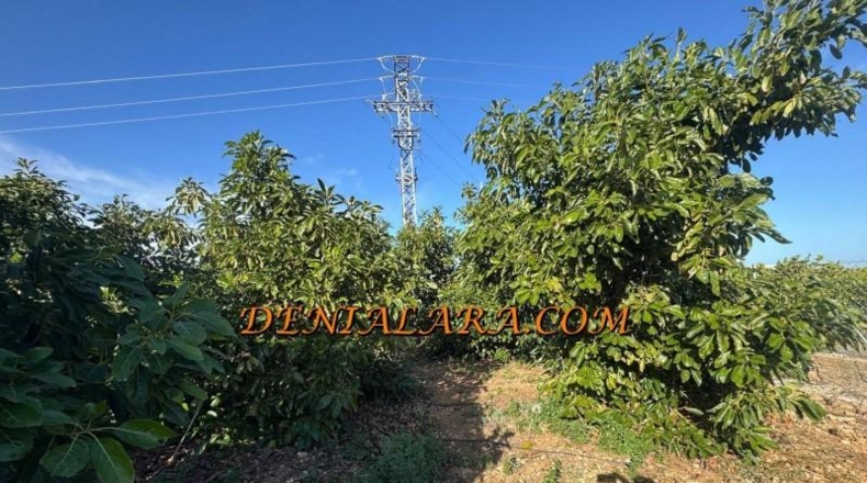 Alicante - Пего - 2125m2